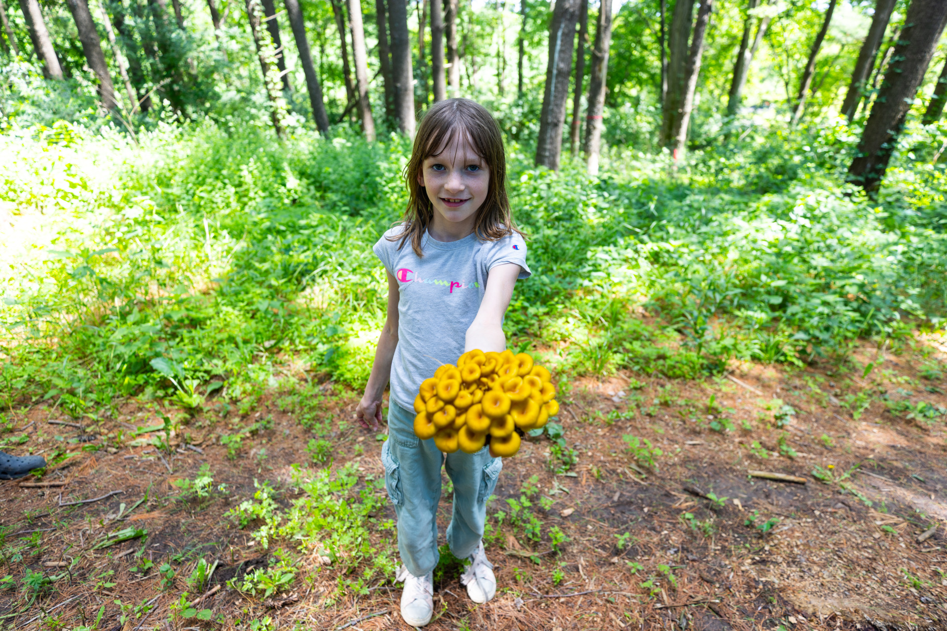 Morels In Marion County
