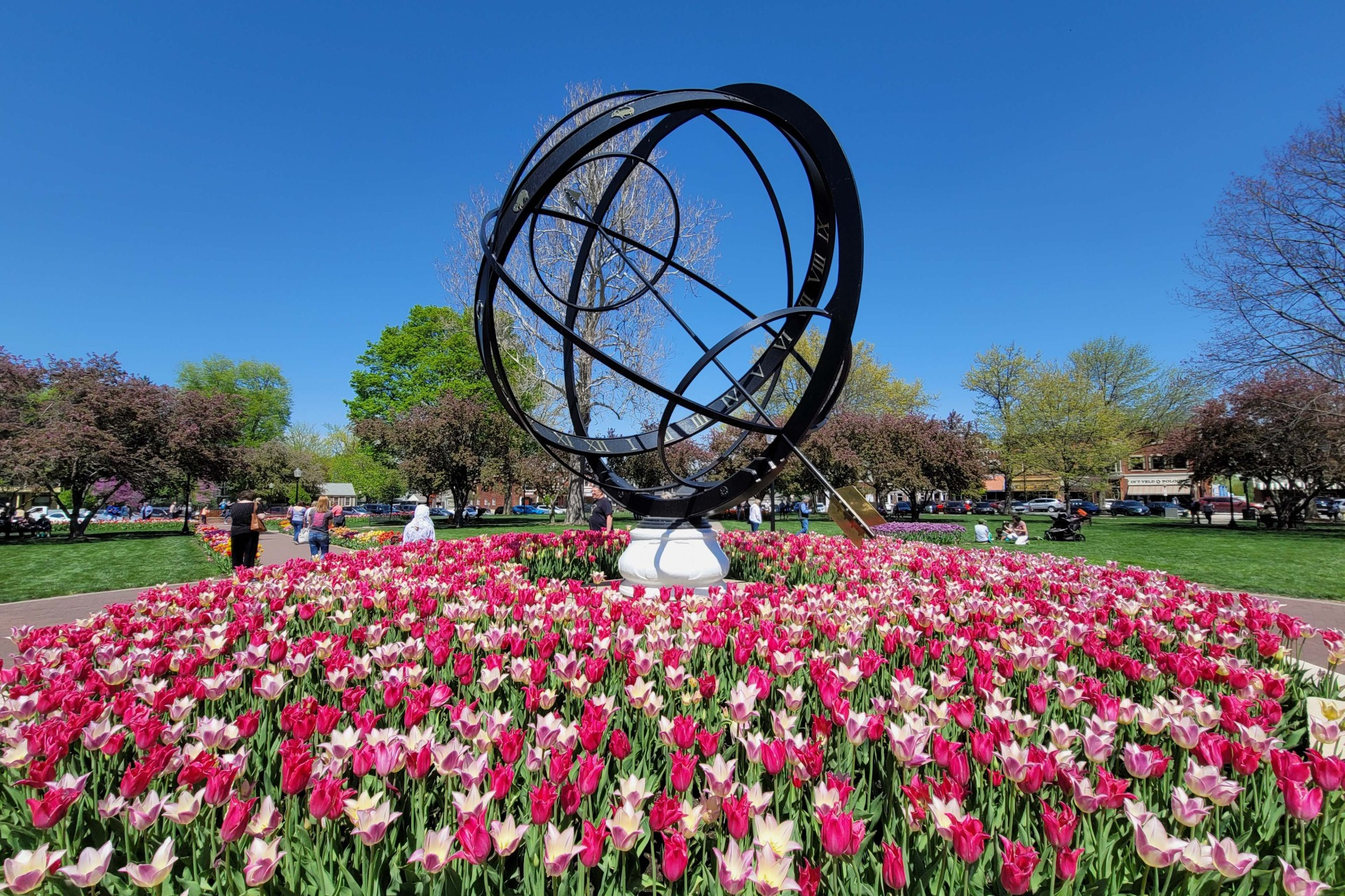 Tulips Pella Iowa